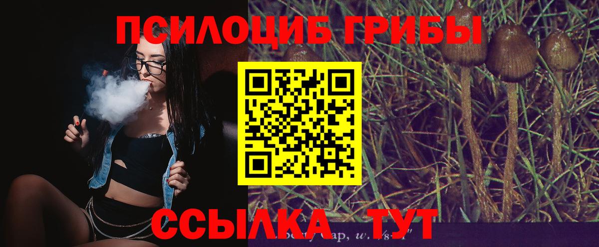 цена наркотик  Вход с VPN  Красноярск  Галлюциногенные грибы Cubensis  Галлюциногенные грибы ЛСД 